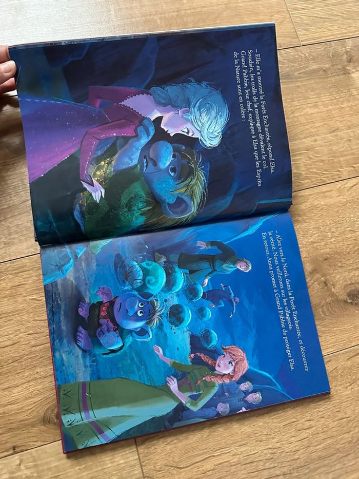 Livre reine de neige 2 - photo numéro 2