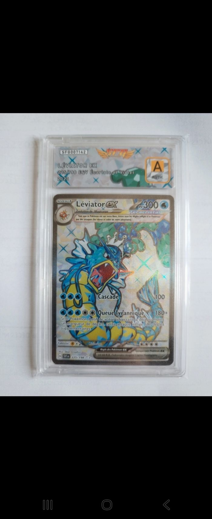 Carte pokemon