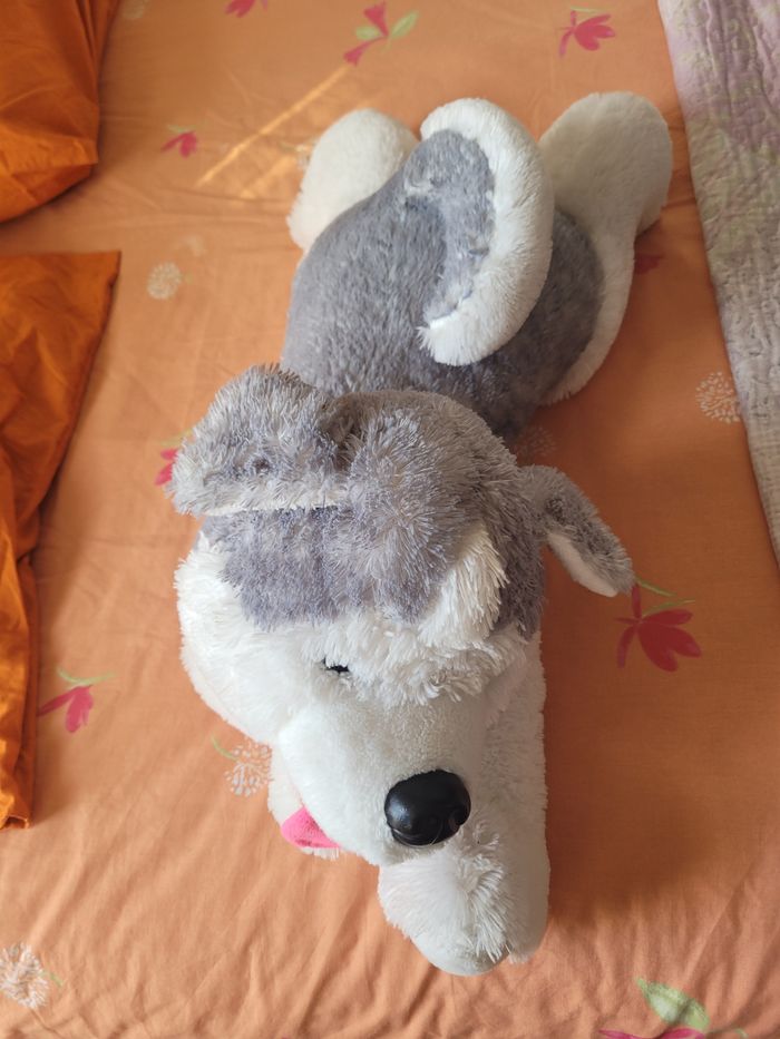 Deux peluches - photo numéro 5