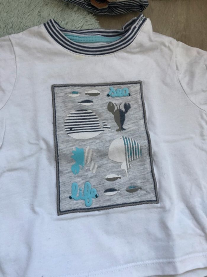 Lot tee shirt mc - photo numéro 4