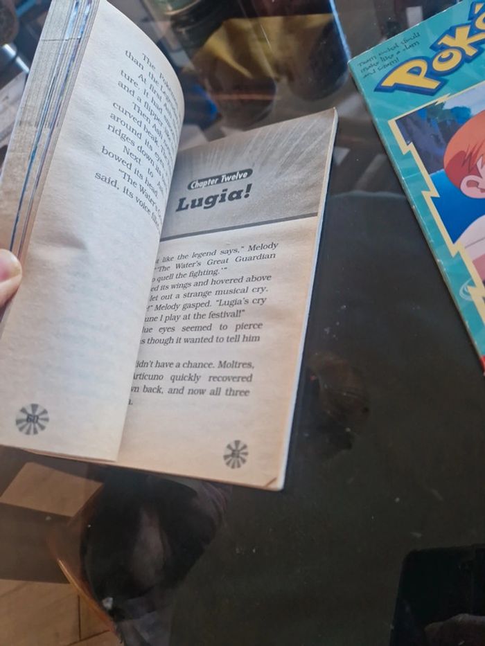Livres pokemon vintage - photo numéro 8