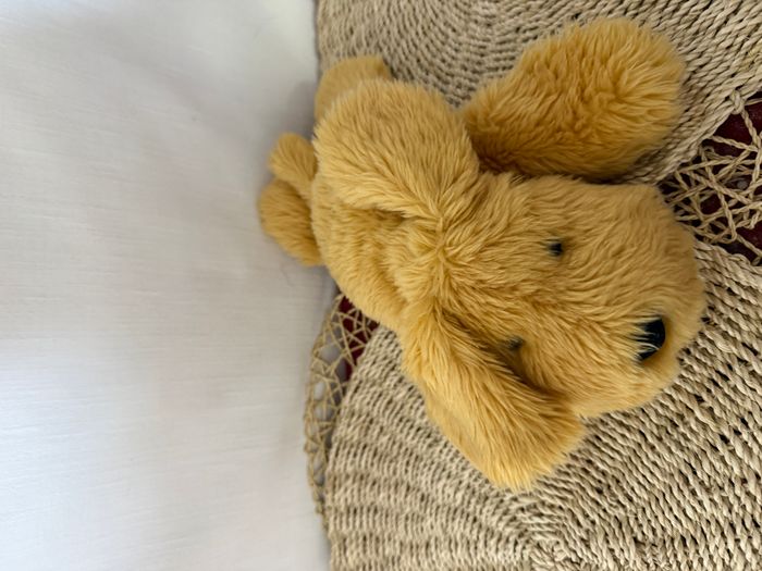 Peluche chien beige couché AIR DRY - photo numéro 1