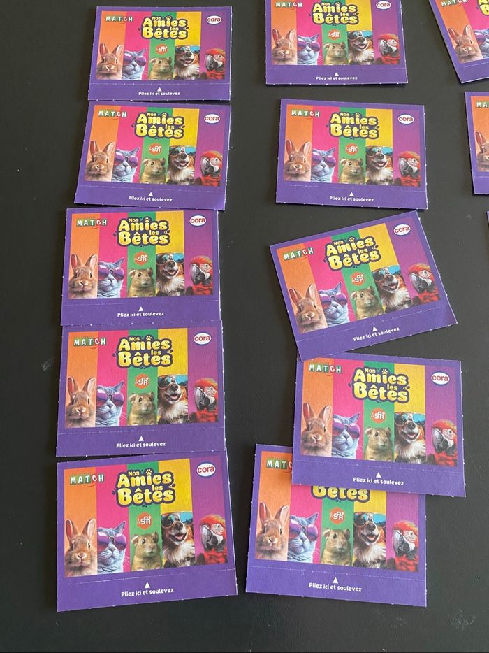 Cartes nos amis les bêtes - photo numéro 2