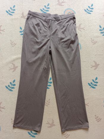 Pantalon daxon beige foncé 46 femme