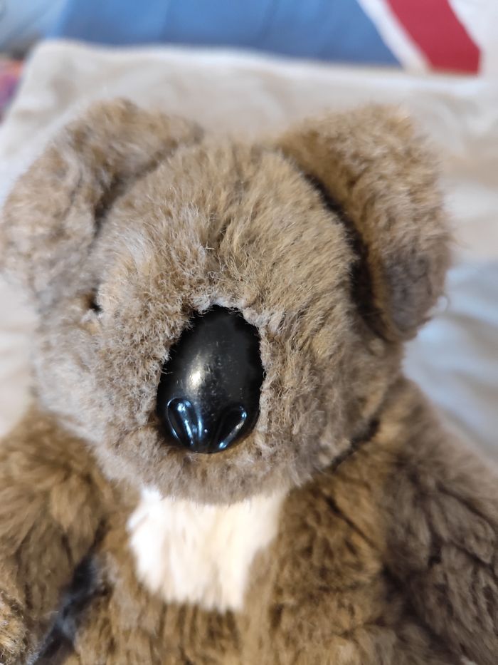 Peluche koala - photo numéro 5