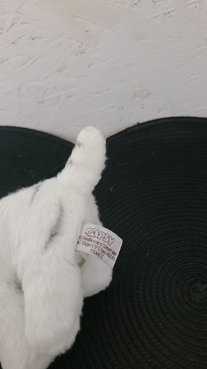 Petite peluche doudou tigre blanc  gros yeux bleus rayé noir  gipsy - photo numéro 6