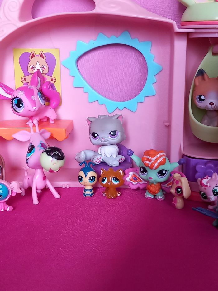 Lot de pet shop - photo numéro 3