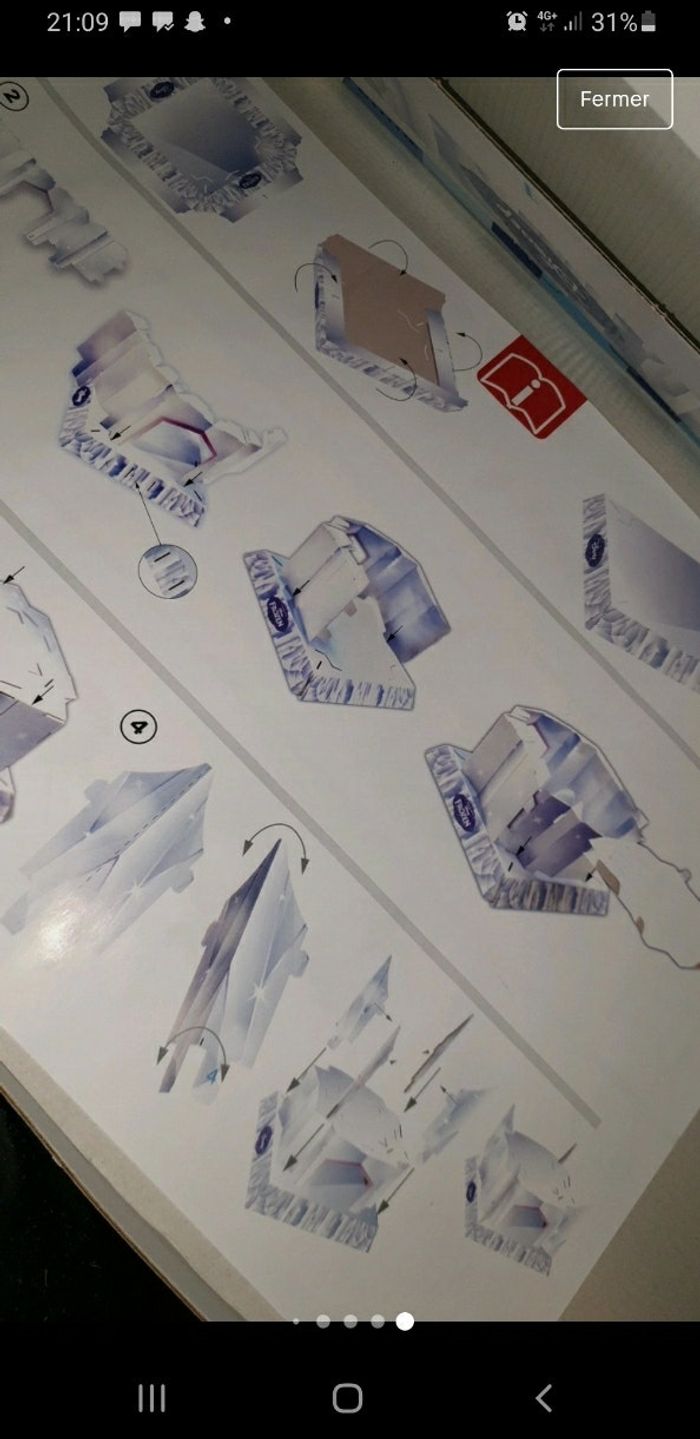 Reines des neiges - photo numéro 4