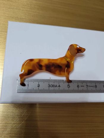 Broche acrylique cien basset