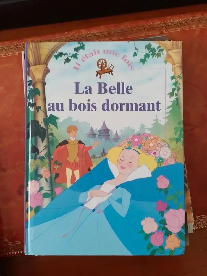 Lot de 6 livres illustrés jeunesse - photo numéro 6