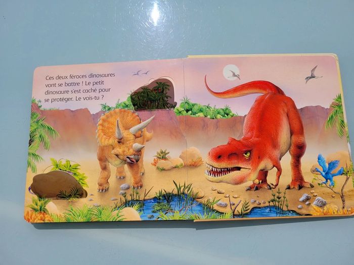 Livre animé de rabats : Où est caché ? Les dinosaures, usborne (48) - photo numéro 8
