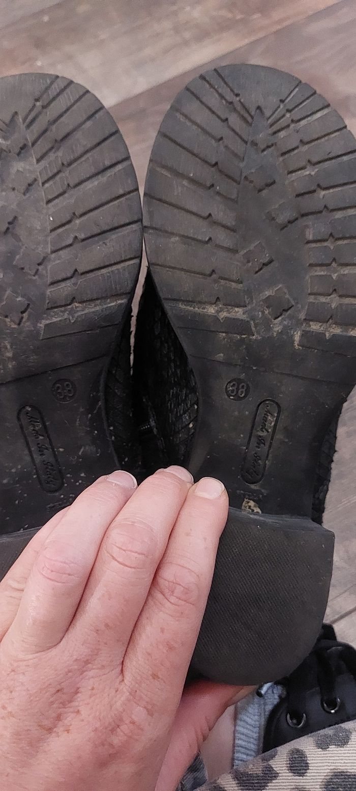 Sweet lemon python 38 - photo numéro 4