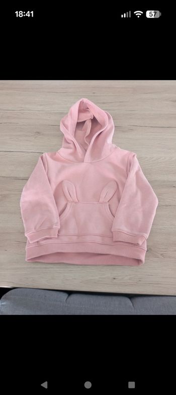 Sweat a capuche 