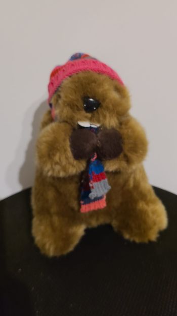 Peluche castor marmotte bonnet rose bleu RODA