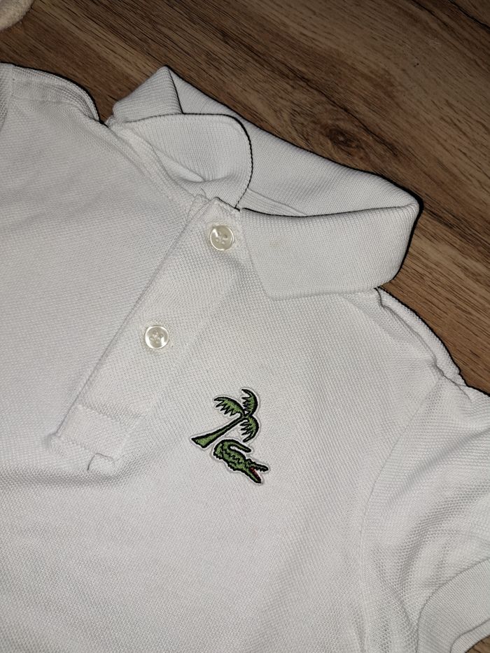 Polo lacoste authentique - photo numéro 2