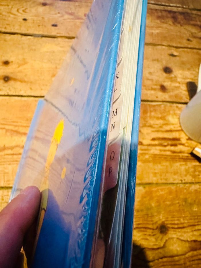 NEUF Grand carnet d’adresses répertoire Le Petit Prince Petit Jour Paris Avion bleu - photo numéro 4