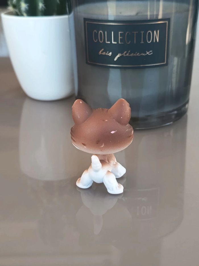 Littlest Pet Shop #68 brown and white husky dog - photo numéro 2