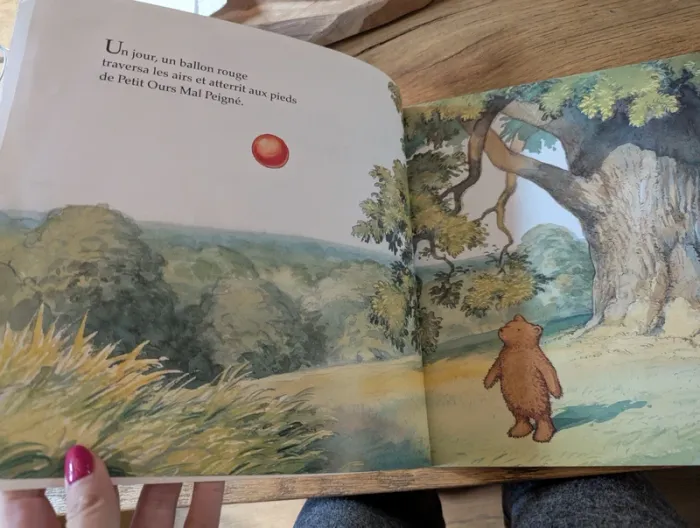 Petit ours mal peigné et le ballon rouge - photo numéro 3