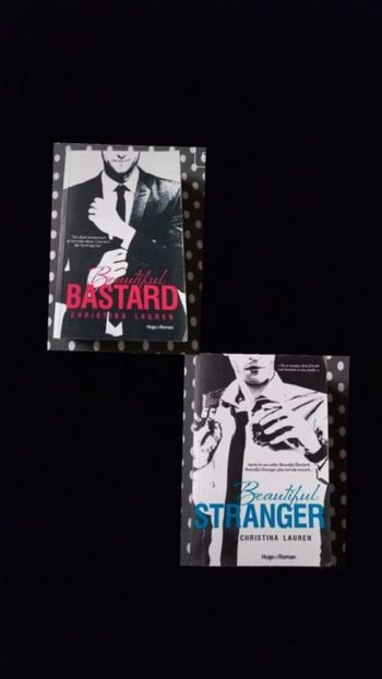 Beautiful Bastard