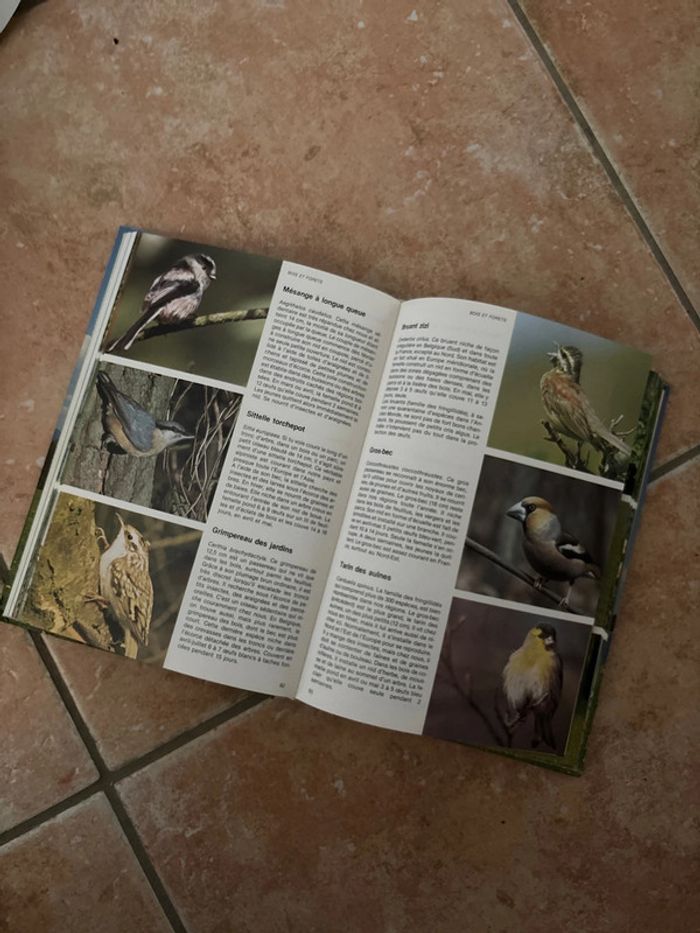 Livre encyclopédie de la nature pour les jeunes - photo numéro 4
