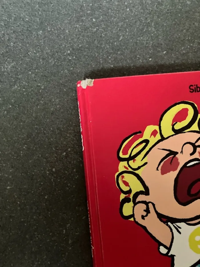 Livre colère - photo numéro 4