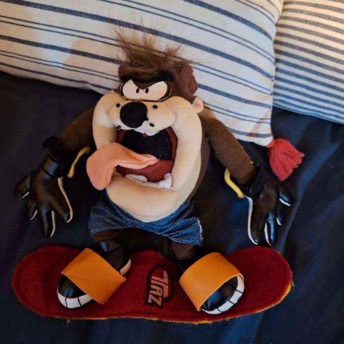 Taz sur son skate board - photo numéro 4