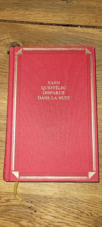 Disparue dans la nuit 