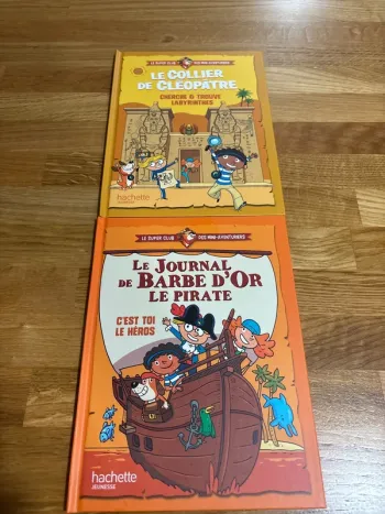 Lot 2 livres McDonald’s neufs