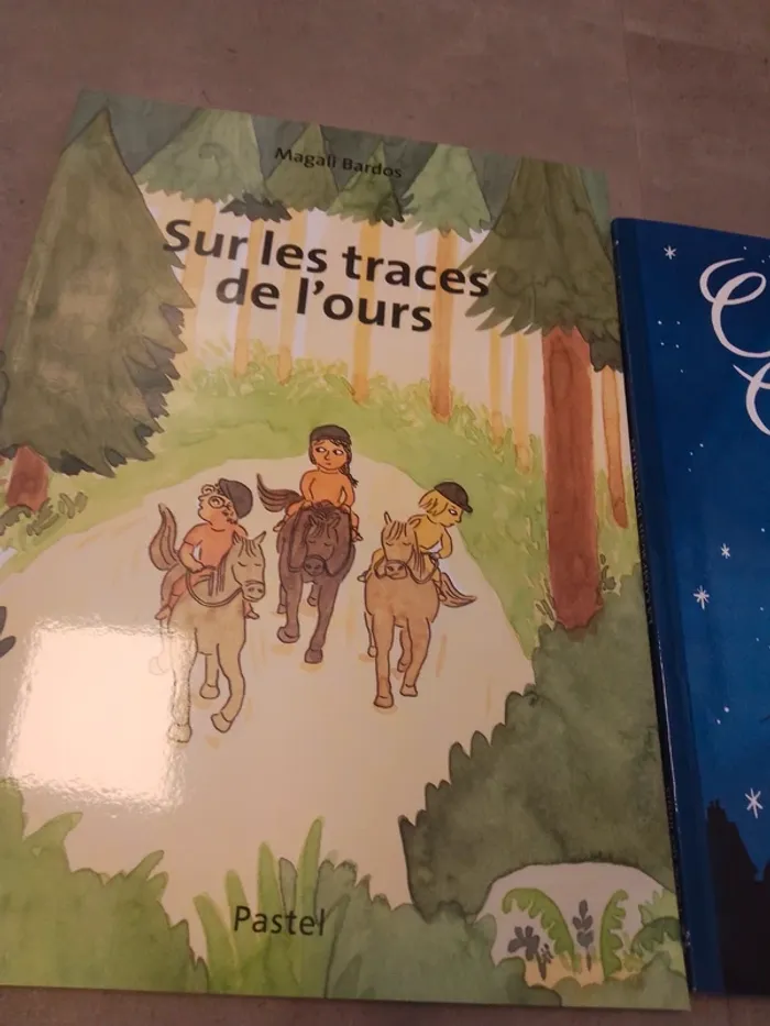 Lot de 4 albuums - photo numéro 5