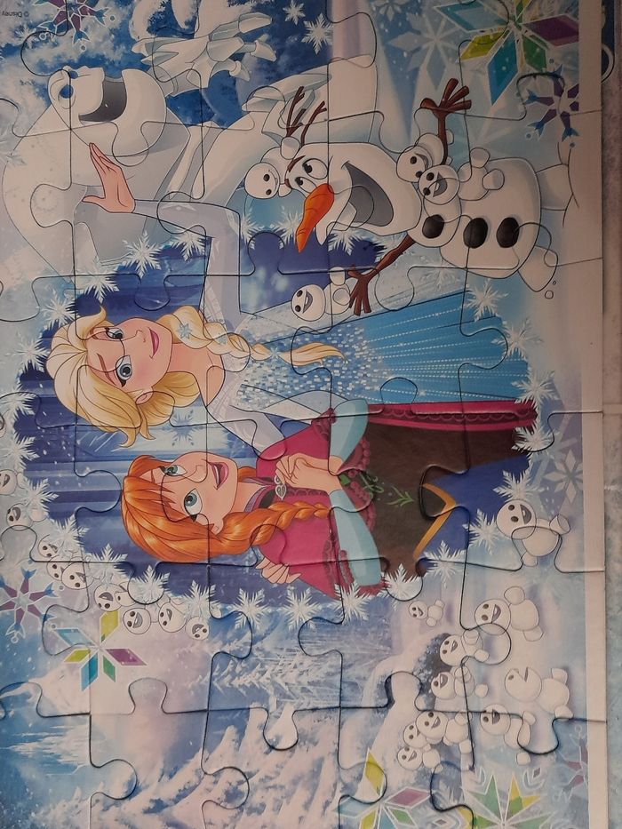 Reine des neiges - photo numéro 2