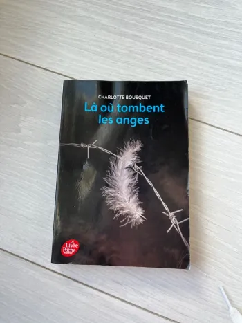 Là où tombent les anges