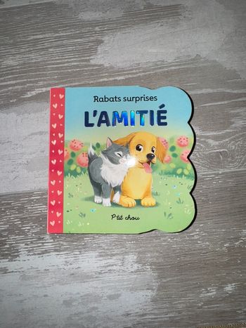 Livre l'amitié p'ti chou