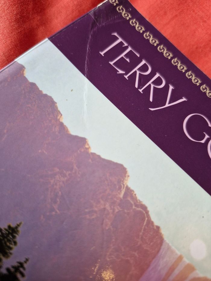 Saga L'épée de vérité ou Legend of the seeker - photo numéro 10