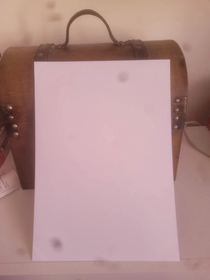 Ex-libris LDK manga Passion Pika Edition - photo numéro 2