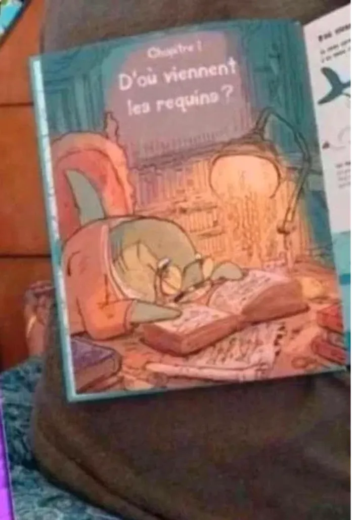 Livre tout savoir sur le requin et le reste - photo numéro 3