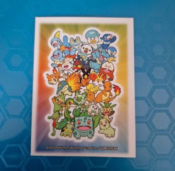 1 sleeve pokemon