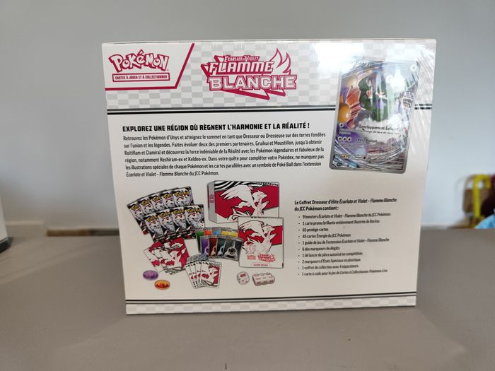 ETB ev10.5 flamme blanche FR - photo numéro 3