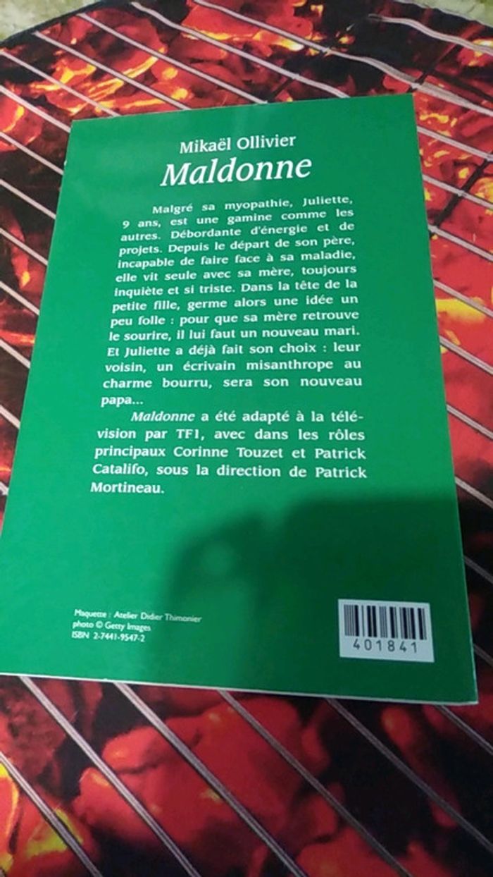 Livre Maldonne - photo numéro 2