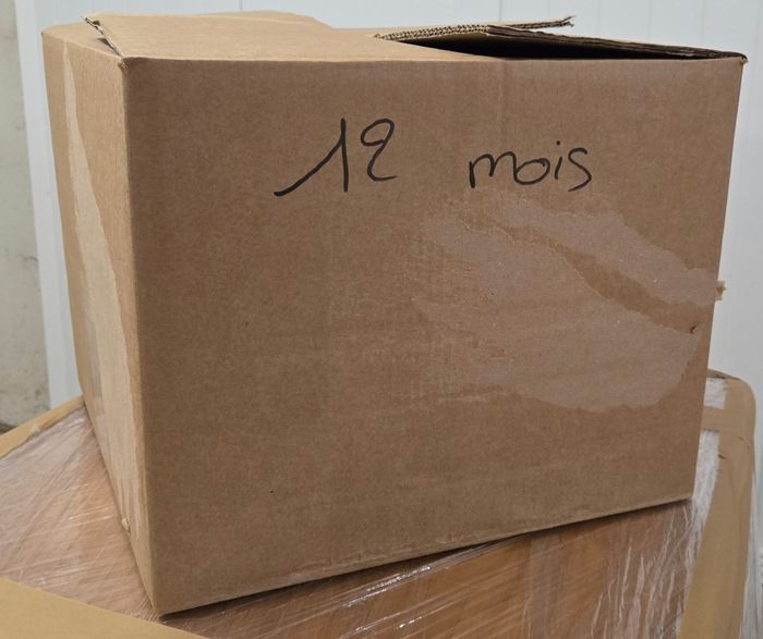 Lots de Vêtements Pour Fille - photo numéro 3