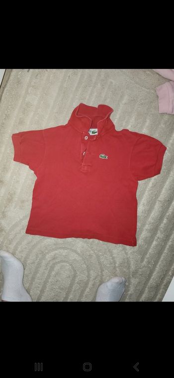 Polo lacoste