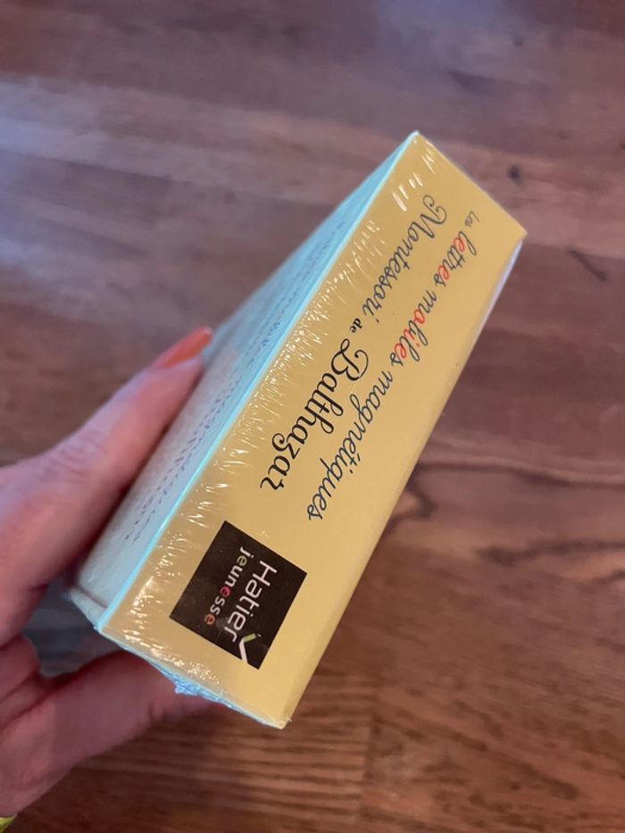 Coffret Neuf Les lettres mobiles magnétiques Montessori de Balthazar - photo numéro 8