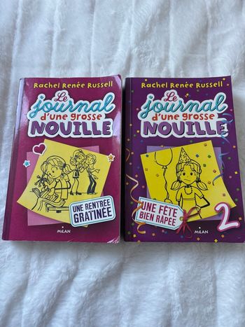 Livre le journal d’une grosse nouille