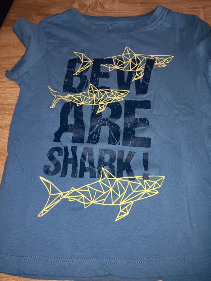 Lot de 13 t-shirt 6 ans garcon - photo numéro 9