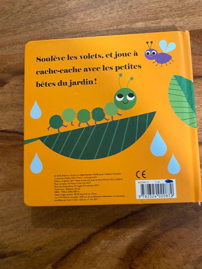Ou est la coccinelle ? - photo numéro 3