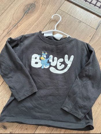Teeshirt bluey
