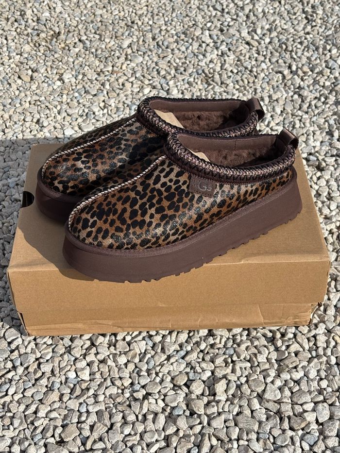 Ugg tazz caspian - photo numéro 3