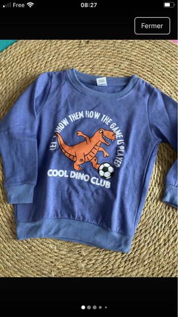 Pull dinosaures