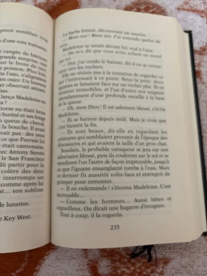 L héritage du sang - photo numéro 5