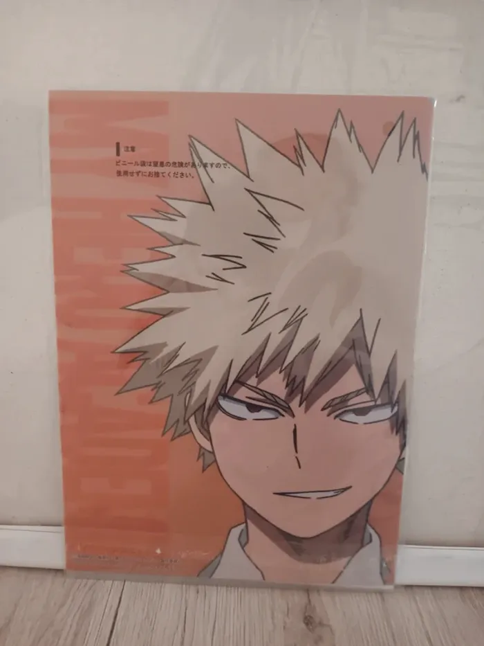 2 clear files my hero academia mha deku, bakugo - photo numéro 2