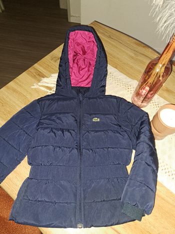 Doudoune lacoste